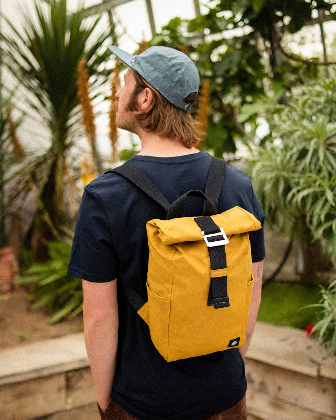 Roll Top Mini backpack in Mustard waxed cotton with black webbing straps, worn in a greenhouse